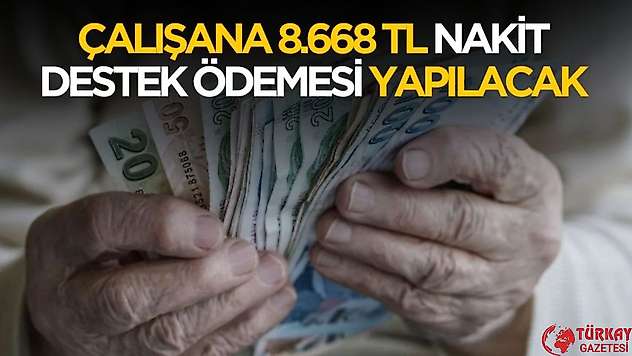 Çalışana 8.668 TL destek ödemesi yapılacak! Şartlar belli oldu
