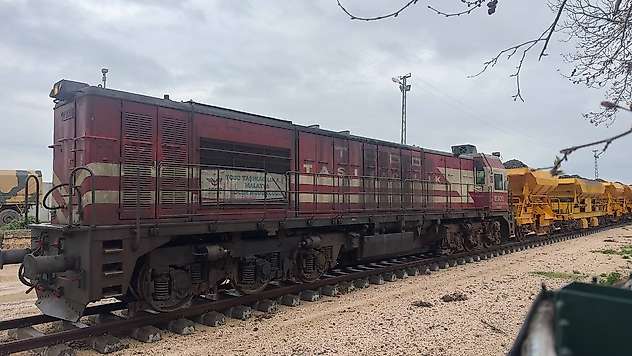 Ceylanpınar'a 15 yıl aradan sonra tren geldi