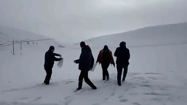 Darende'de öğretmen ve öğrenciler yaban hayvanlarını unutmadı