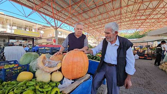 Darende'nin meşhur bal kabağı üreticinin yüzünü güldürüyor