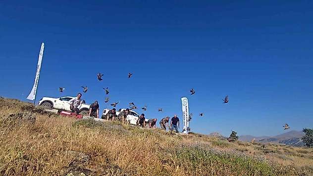 Diyarbakır'da keneye karşı doğal mücadele