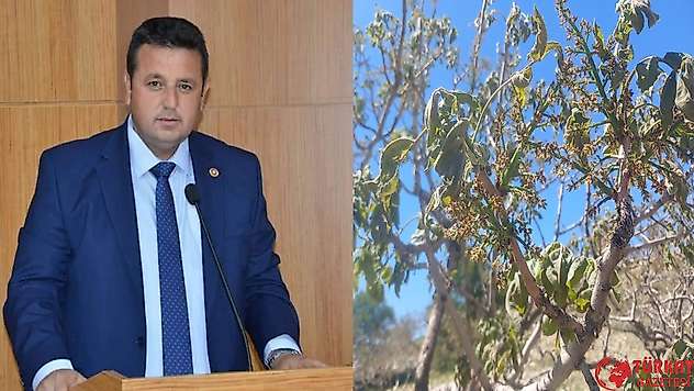 Durmuş: 'Zirai Don tespitleri yapıldı, çiftçilerimiz adına umutlandık'