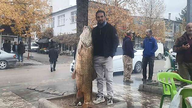 Elazığ'da 60 kiloluk turna balığı yakalandı