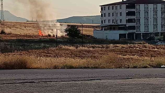 Elazığ'da buğday tarlasında yangın