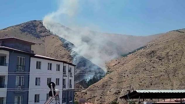 Elazığ'da dağlık alanda yangın