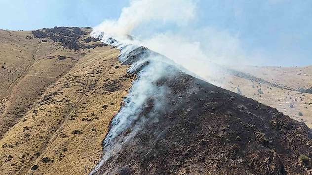 Elazığ'da dağlık alandaki yangına müdahale sürüyor