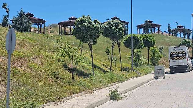 Elazığ'da şiddetli rüzgar etkili oldu