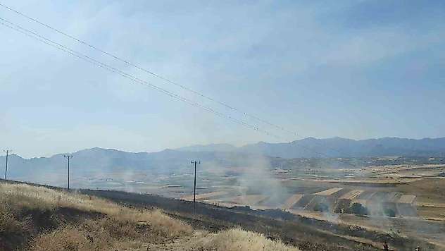 Elazığ'daki yangında 40 dönümlük arpa küle döndü