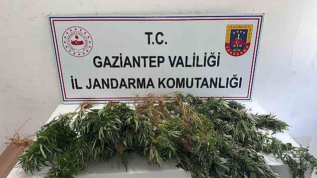 Gaziantep jandarmadan uyuşturucu operasyonu