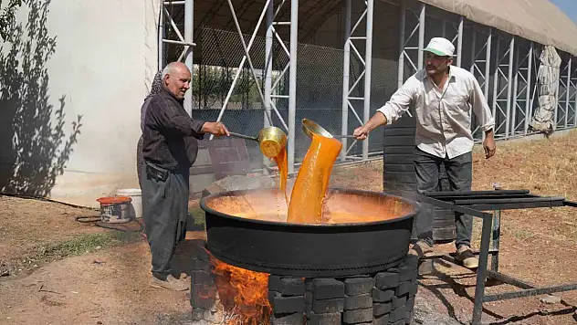 Gaziantep'te dev kazanlar pekmez yapımı için kaynıyor
