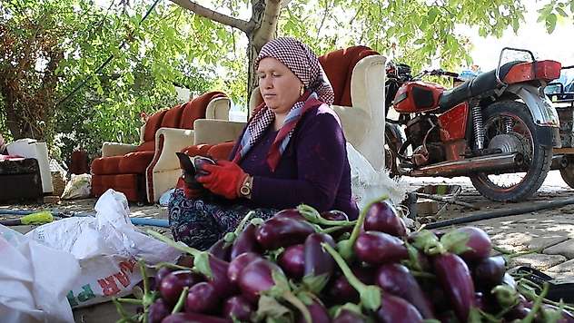Gaziantepli kadınların kurutmalık mesaisi devam ediyor