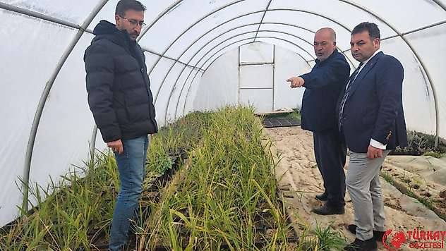 Gölbaşı belediyesi Çiçek ve Ağaç fideleri yetiştirmeye başladı