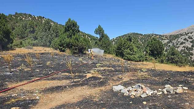 Gölbaşı ilçesinde örtü yangını
