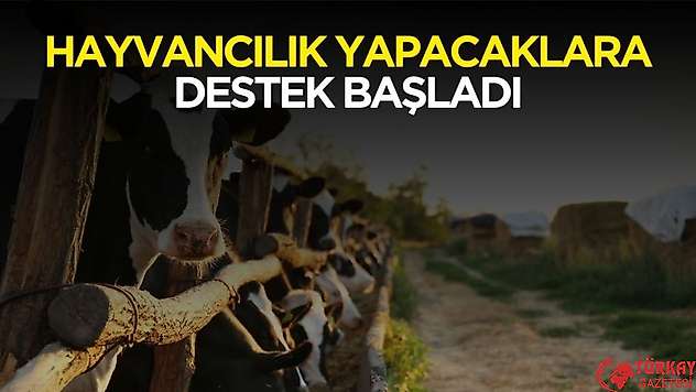 Hayvancılık yapacaklara destek başvurusu başladı