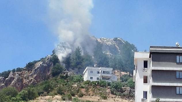 Kahramanmaraş'ta orman yangını