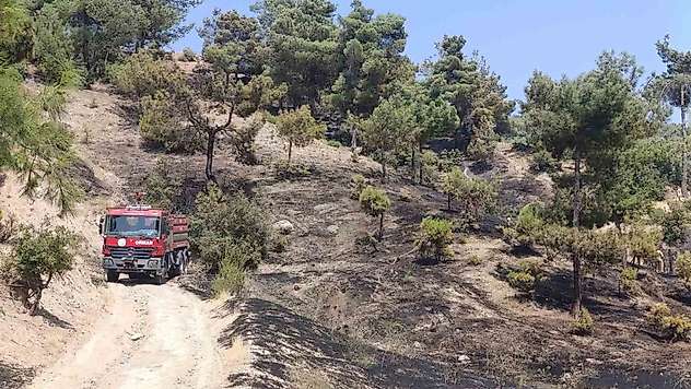 Kahramanmaraş'ta orman yangını kontrol altına alındı