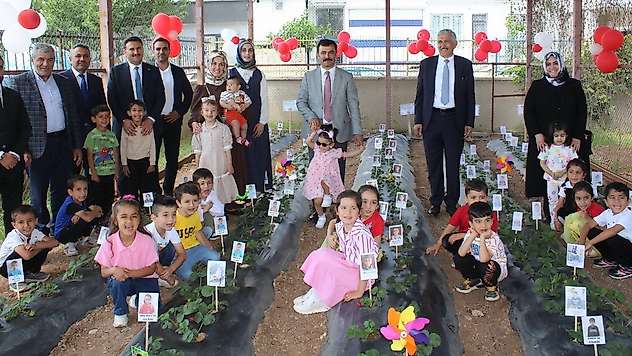 Kahta'da miniklerden çilek hasadı
