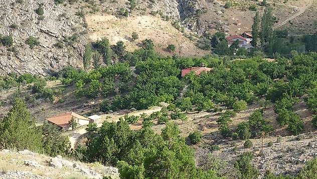 Kayıp kadının cenazesi için  bin 600 rakımlı dağda arama sürüyor