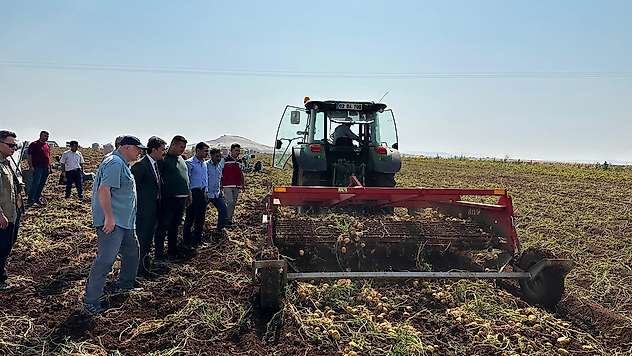Kaymakam Aslan Besni'de patates hasadına katıldı