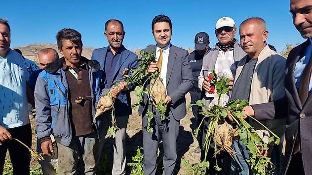 Kaymakam Seyhan, şeker pancarı hasadına katıldı