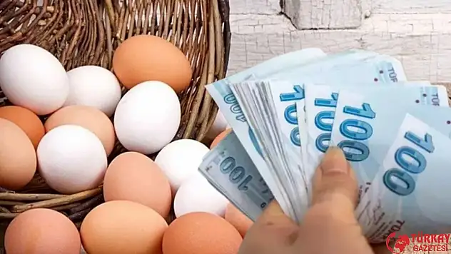 Kayseri ve Afyon'dan haber geldi! Yumurta fiyatlarına zam