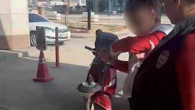 Kediye taşla vuran kadın yakalandı