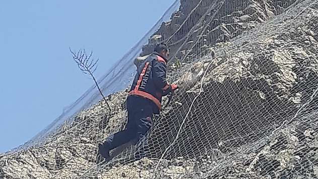 Malatya'da ağa takılan 2 yaban keçisi kurtarıldı