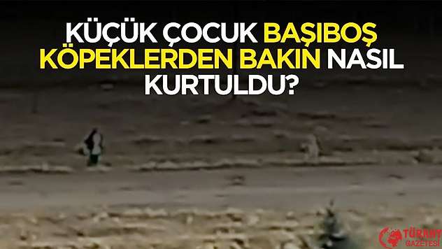 Malatya'da başıboş sorunu 1 can daha alacaktı: küçük çocuk bakın nasıl kurtuldu