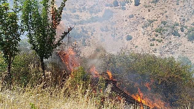 Malatya'da meyve bahçesi ve üzüm bağlarında yangın