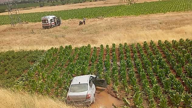 Malatya'da otomobil tütün tarlasına düştü: 3 yaralı