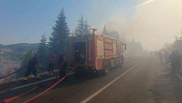 Malatya'daki orman yangınına havadan ve karadan müdahale sürüyor