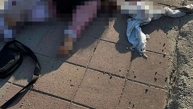 Mardin'de tırın çarptığı yaşlı kadın hayatını kaybetti