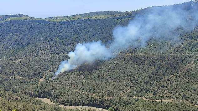 Mersin'de orman yangını: Ekiplerin müdahalesiyle kontrol altına alındı