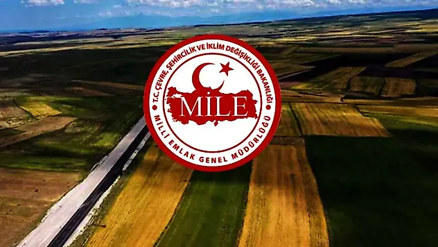 Milli Emlak Genel Müdürlüğü personel alımı yapacak