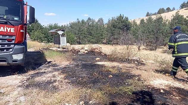 Ormanlık alandaki yangın söndürüldü