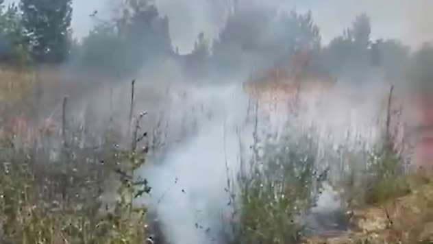 Otluk alanda çıkan yangın kuş yuvalarına zarar verdi
