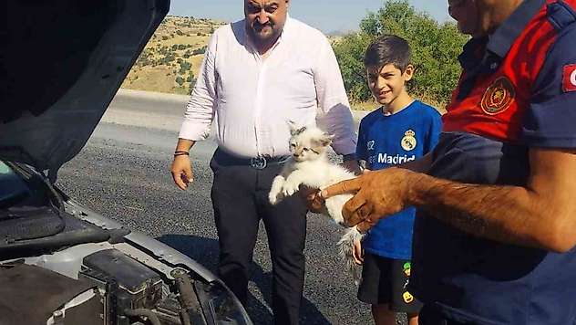 Otomobilin motoruna sıkışan kedi kurtarıldı