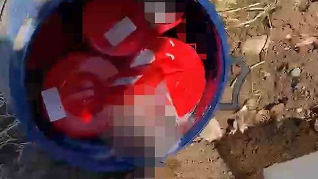 Plastik kutularda 21 cenin bulundu