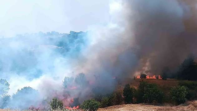Pütürge'de orman ve örtü yangınına havadan müdahale