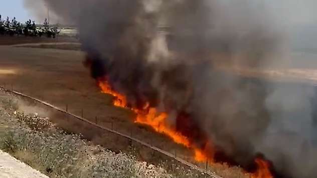 Şanlıurfa'da arpa ekili arazide çıkan yangında 30 dönüm alan zarar gördü