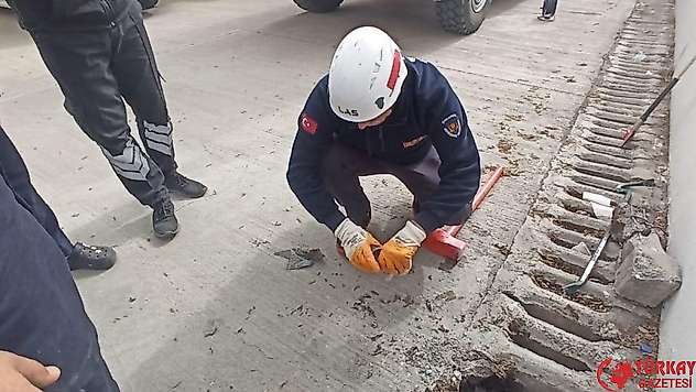 Şanlıurfa'da mazgala düşen yavru kedi kurtarıldı