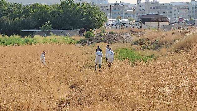 Şanlıurfa'da tarlada erkek cesedi bulundu