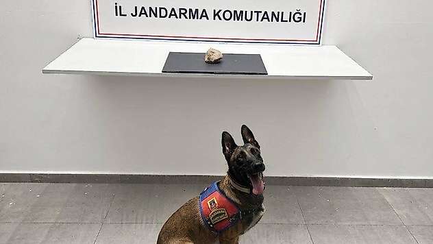 Şanlıurfa'da uyuşturucu operasyonu: 1 tutuklama