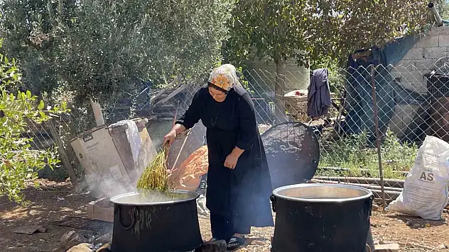 Şanlıurfa'da üzümün pekmez yolculuğu başladı