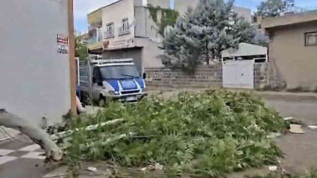 Siverek'te etkili olan fırtına, tarlada çalışan işçilere zor anlar yaşattı