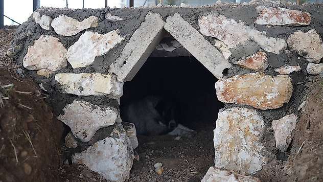 Adıyaman Belediyesi sokak hayvanlarına doğal yaşam alanı yapıldı