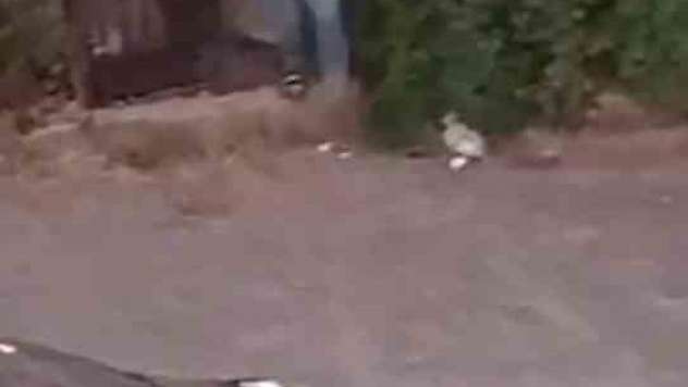 Sokak ortasında silahlı kavga: 3 yaralı