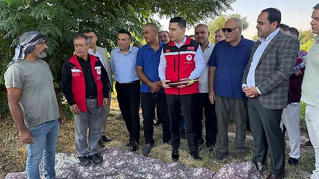 Tescilli Birecik patlıcanında hasat başladı