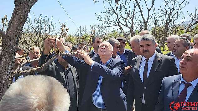TZOB Genel Başkanı Şemsi Bayraktar zirai don vuran bahçeleri inceledi