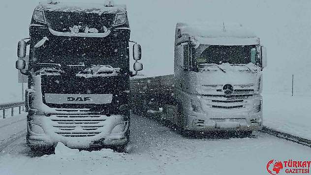 Van'da kar yağışı